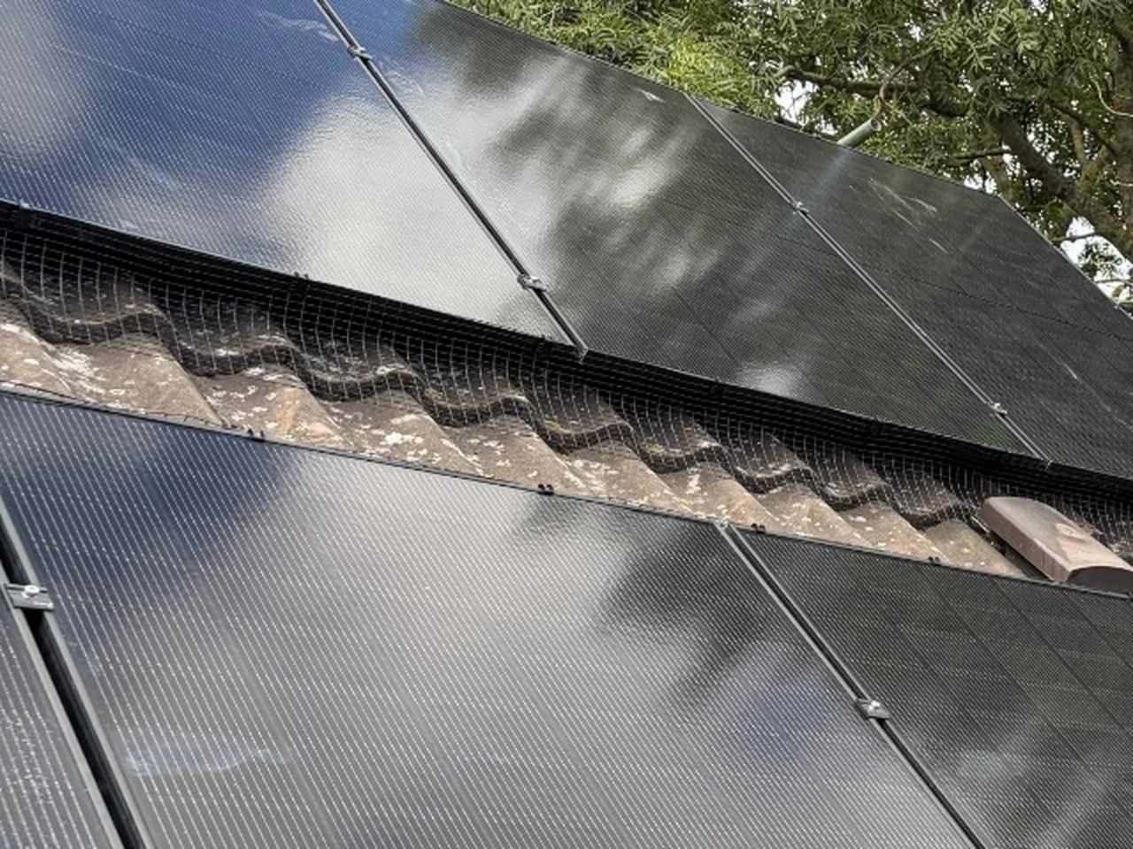 All-black solar panels on a weathered tiled roof, with bird mesh fitted along the lower edge of the array, photographed by Cozy Home Solutions.