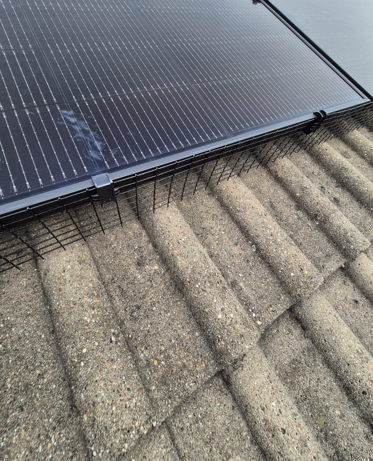 Close-up of black bird mesh fitted along the edge of a solar panel on concrete roof tiles, photographed by Cozy Home Solutions.